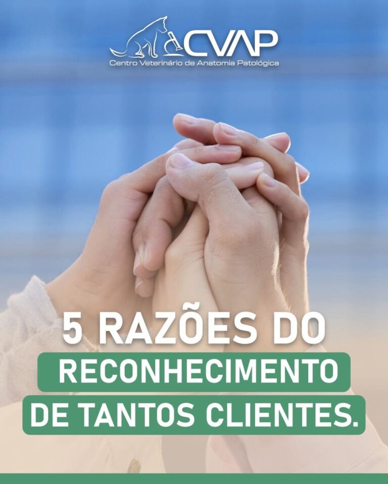 cinco razoes para usar a cvap