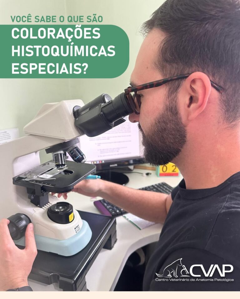 Colorações Histoquímica