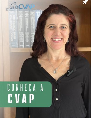 Conheça a CVAP