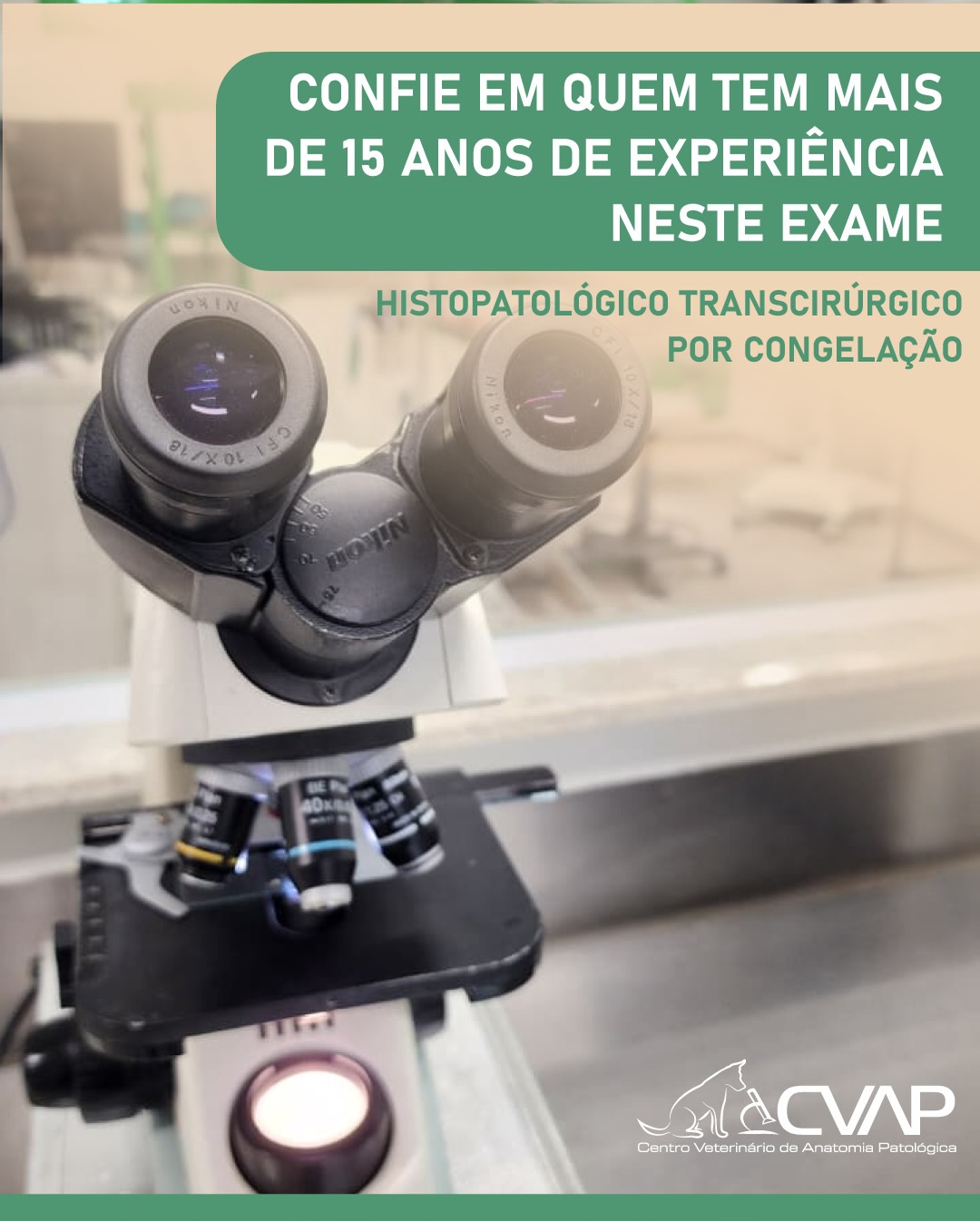 Hispatologico Transcirúrgico por Congelação