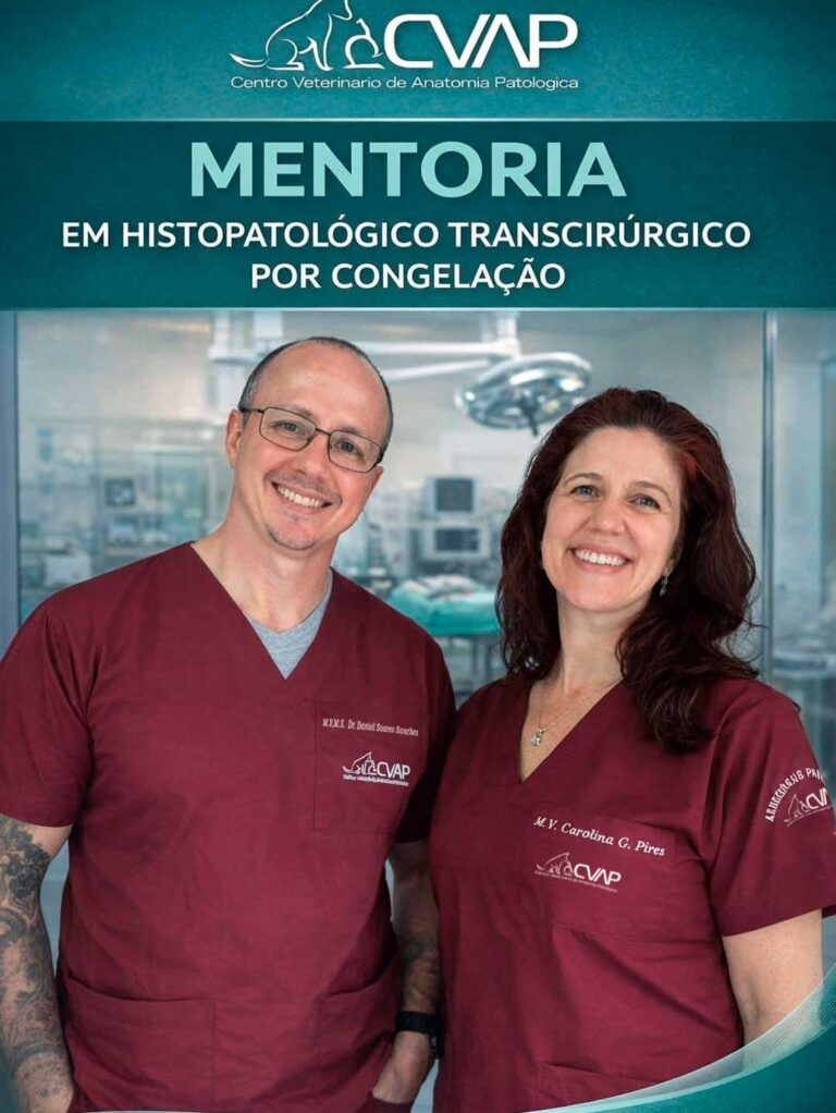 Mentoria veterinária